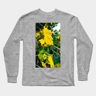 Beautiful Yellow Fall leaves Long Sleeve T-Shirt